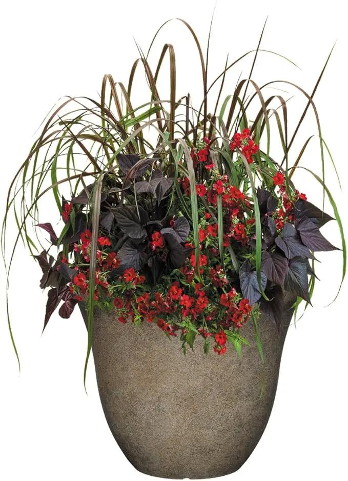 Classic Home and Garden Honeysuckle Resin Flower Pot Planter, Fossil Stone, 15" (Pack of 2) by GreenHaven Gardens