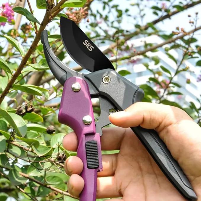 Garden clippers, premium Germany pruners, Work 3 times easier, professional pruning shears, cutting rose, flower, hedge, stem, tree, Sharp gardening scissors, Arthritis weak hand snips (Japanese-2, 1) by GreenHaven Gardens