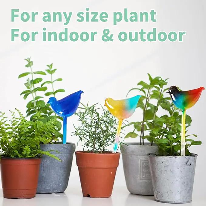 Glass Plant Watering Globes, Flower Watering Globes Self Watering Star Plant Watering Pot, Automatic Multicolored Glass Watering Spray for Everyday Use,3 Pack (B) by GreenHaven Gardens