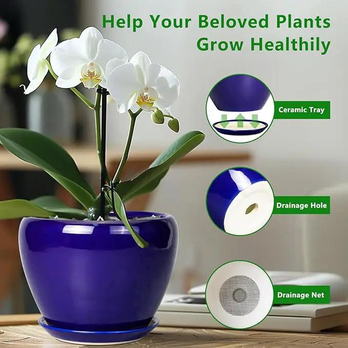 6 Inch Plant Pot - Ceramic Pots for Plants Succulent Pot with Drainage Hole and Saucer Round Planter Outdoor Flower Pot for Herb Snake Plants Blue by GreenHaven Gardens