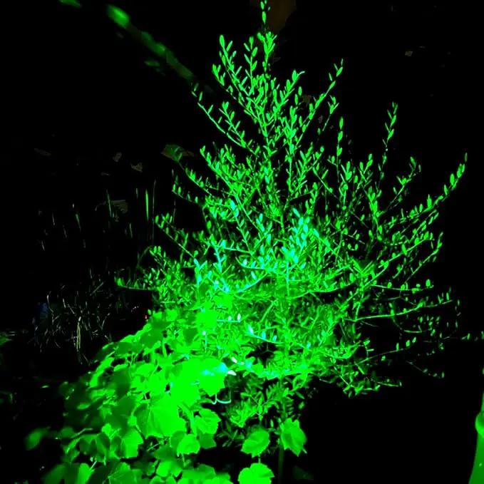 T-SUNUS Green Solar Spot Lights Outdoor Waterproof IP65, Landscape Spotlights 2 Modes Dusk to Dawn for Accent Uplighting Christmas Halloween St. Patrick's Day Tree Yard Statue Graveyard Driveway Flag by GreenHaven Gardens