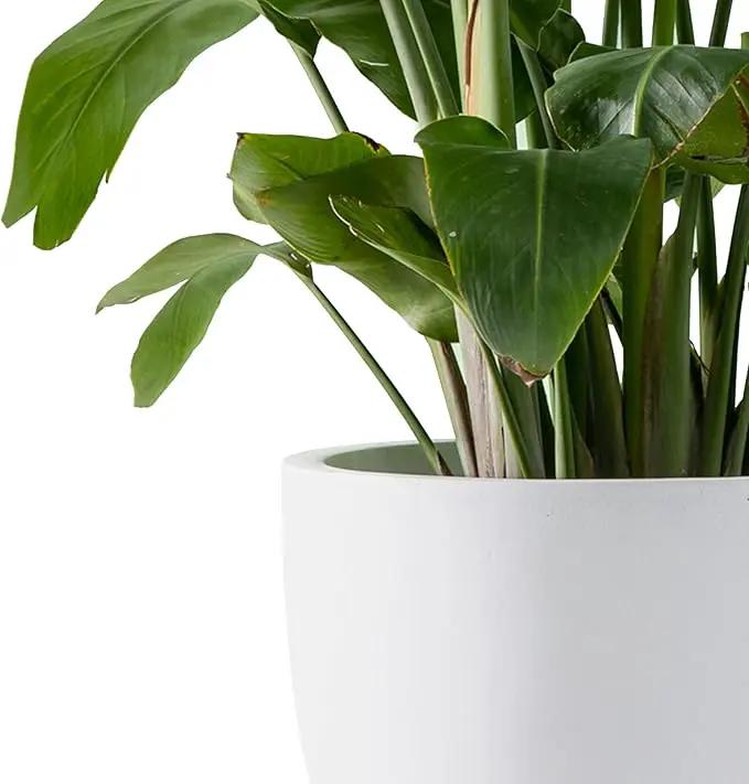 Kante 18",14",10" Dia Concrete Round Planters (Set of 3), Outdoor Indoor Large Planter Pots with Drainage Hole and Rubber Plug for Home Patio Garden, Pure White by GreenHaven Gardens