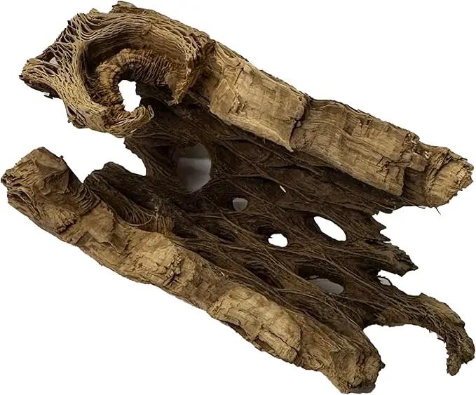 Natural Cholla Wood Chunk Air Plant Display Holders Individually Unique Decorative Stands Holder (Cholla Chunk) by GreenHaven Gardens
