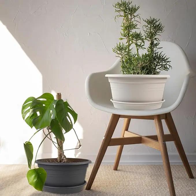 6 Pack 10 inch Plant Pot, Round Plastic Plant Pots, Outdoor Pots for Plants with Drainage Hole & Tray Saucer, Decoration Flower Pots for Indoor Plants Home Garden Outdoor Planters (Grey) by GreenHaven Gardens