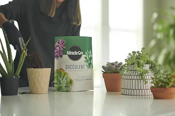 Miracle-Gro Succulent Potting Mix, for Indoor Succulents, Aloe Vera and More, Made with Miracle-Gro Plant Food, 4 qt. (3-Pack) by GreenHaven Gardens