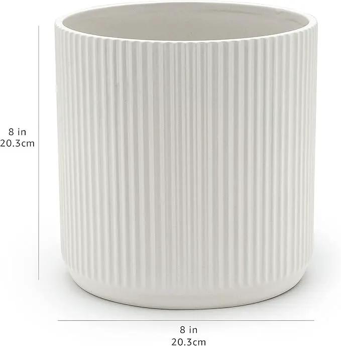 Amazon Basics Fluted Ceramic Round Planter, 8-inch, White by GreenHaven Gardens