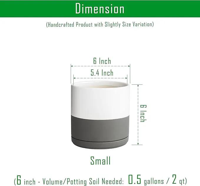 D'vine Dev 6 Inch Ceramic Planter Pot with Drainage Hole and Saucer, Indoor Cylinder Round Flower Pot, White/Speckled Grey, 94-O-C-6 by GreenHaven Gardens