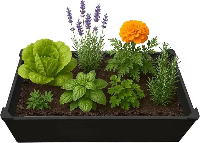 Raised Garden Bed - 2x4 ft Planter Box - Black HDPE - No Tools Needed - DIY Kit for Urban Gardening, Flowers, Herbs & Vegetables - Made in The USA by GreenHaven Gardens