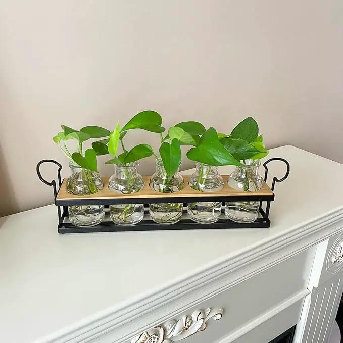 THYGIFTREE Plant Propagation Stations with Metal Stand, Tabletop Plant Terrarium for Propagating Hydroponic, Retro Glass Planter Flower Vase Home Kitchen Office Decor, Plant Lover Gifts, 5 Jars by GreenHaven Gardens