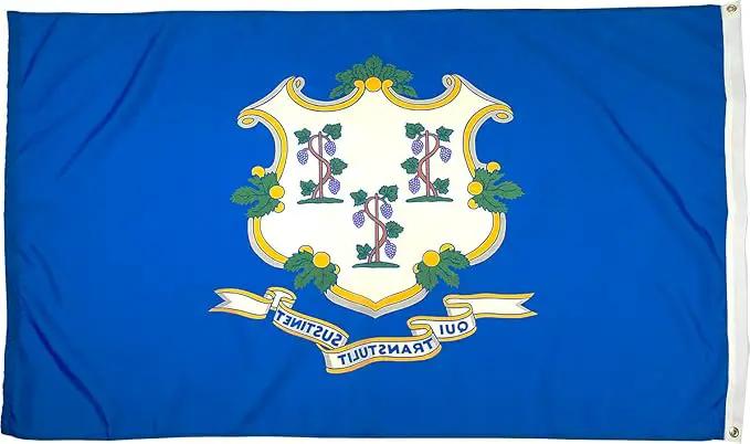 FlagSource Connecticut Nylon State Flag, Made in the USA, 5x8' by GreenHaven Gardens