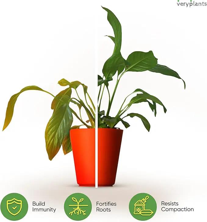 Molly's Aroid Mix - Premium Soilless Chunky Potting Mix for Tropical and Indoor Plants - Contains Orchiata Bark, Coco Chips, Worm Castings, Horticultural Charcoal, Mycorrhizae 5 Dry Quarts by GreenHaven Gardens
