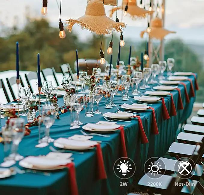 S14 Replacement LED Light Bulbs, Shatterproof & Waterproof 2W S14 LED Bulbs, Outdoor String Lights , E26 Base Patio Edison LED Light Bulbs, Warm White 2200K Plastic 150ML Non-Dimmable 25 Pack by GreenHaven Gardens