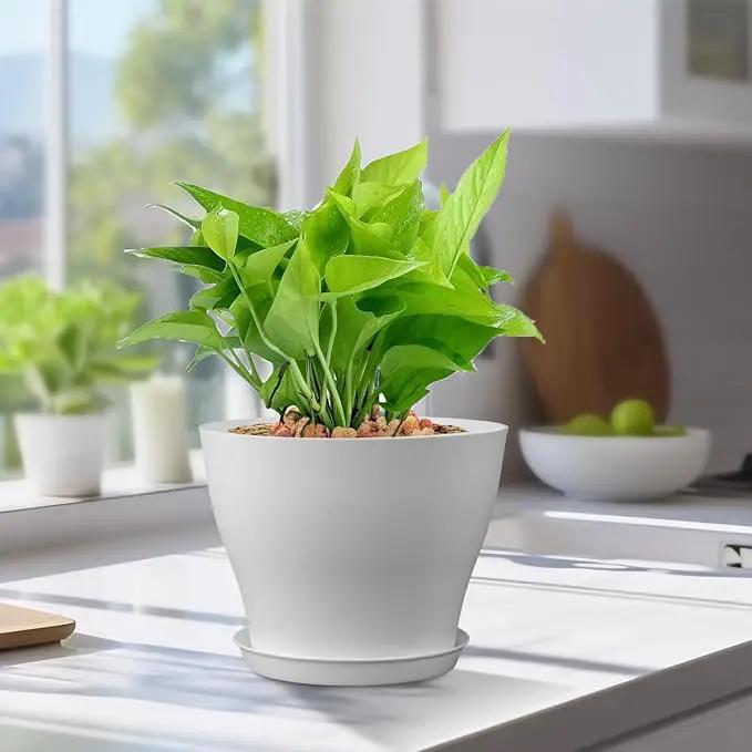 6 inch Plastic Nursery Pots, 16 Pack Plant Pots for Small Indoor Outdoor Plants, Flower Pots with Drainage Holes and Saucers, Decorative Seedling Starter Planters for House Plants, White by GreenHaven Gardens