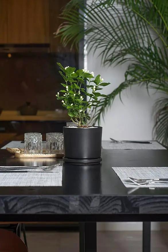 Ekirlin 9 inch Plant Pots,Ceramic Flower Planters Indoor,Modern Succulents Containers with Drain Hole Saucer,Decorate Home,Office & Outdoor (Black) by GreenHaven Gardens