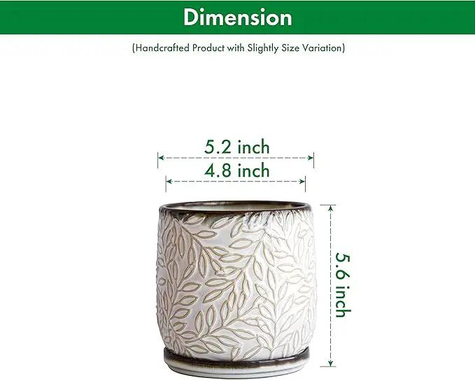 D'vine Dev 5 Inch Embossed Leaves Stoneware Planter Pot with Drainage Hole and Saucer, Smoked White, Set of 1, 27-A-V-1 by GreenHaven Gardens