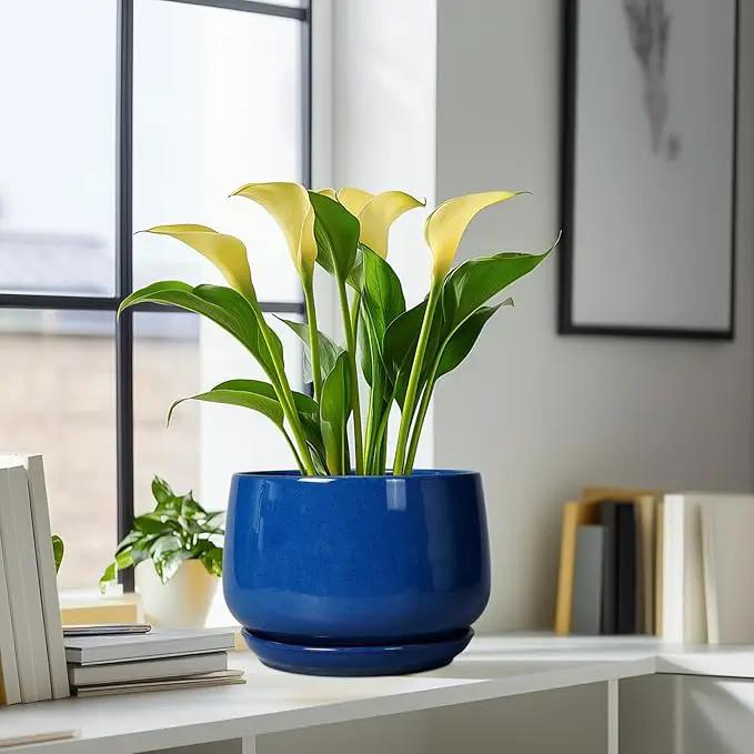 G EPGardening Ceramic Pots for Plants, 9 Inch Modern Round Planter with Drainage and Tray Indoor Outdoor for Flower, Patio Decor, Housewarming Gifts, Blue by GreenHaven Gardens