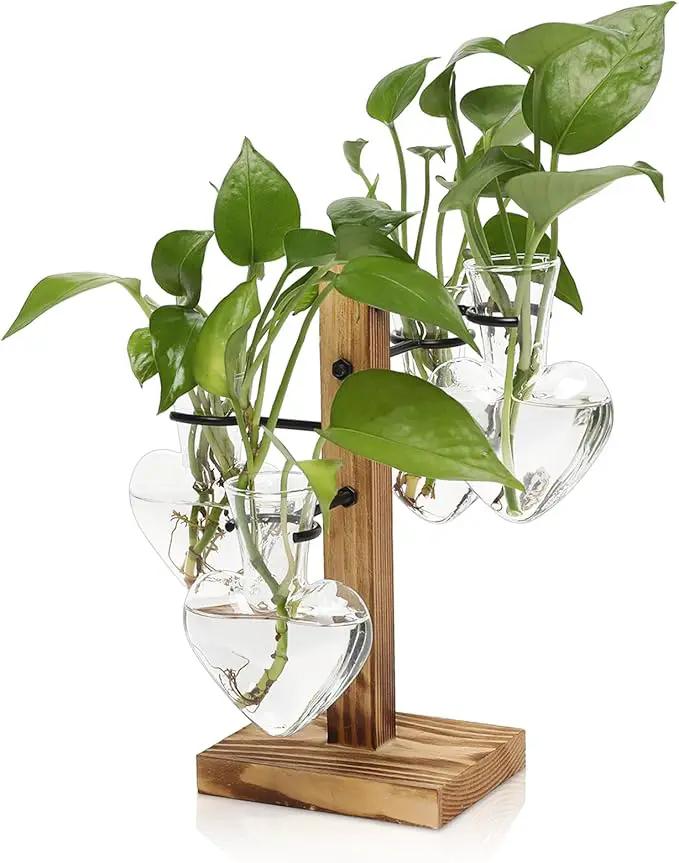 Plants Propagation Stations Plant Terrarium Kit Glass Planters for Indoor Plants House Plant Accessories Gift for Women - 4 Love Bulb Vase by GreenHaven Gardens