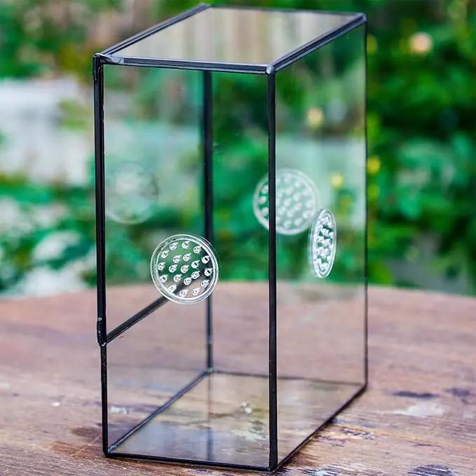 NCYP Glass Terrarium with Front Opening Door and 3 Vents for Insects, Snail, Spider, Glass Enclosure - 8"x4.5"x10" Clear Closed Plant Greenhouse Box (Terrarium Only) by GreenHaven Gardens