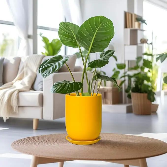 Plant Pot 8 Inch - Ceramic Plant Pot with Drainage Hole and Saucer Large Planter for Indoor Plants Outdoor Modern Flower Pot for Home Garden Decor Yellow by GreenHaven Gardens
