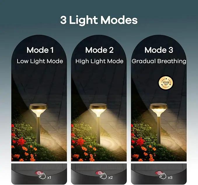 Linkind Solar Pathway Lights 8 Pack, Solar Lights Outdoor, Warm White Solar Path Lights Waterproof, Solar Lights for Walkway Yard Landscape Garden by GreenHaven Gardens