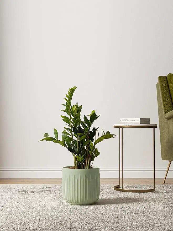LE TAUCI Fluted Ceramic Planters Set of 3 – 8.3/7 / 5.7 in Sage Green Reactive Cylinder Indoor Plant Pots with Drainage Plug & Mesh, Glossy Stoneware Flower Pots for Succulents Herbs by GreenHaven Gardens