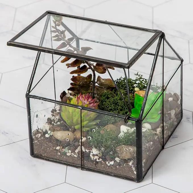 Ferrisland Glass Plant Terrarium Container Wardian Case Indoor Small Succulent Terrarium Planter w/Door for Tabletop Decor DIY - 5.0"x4.3"x4.3" by GreenHaven Gardens