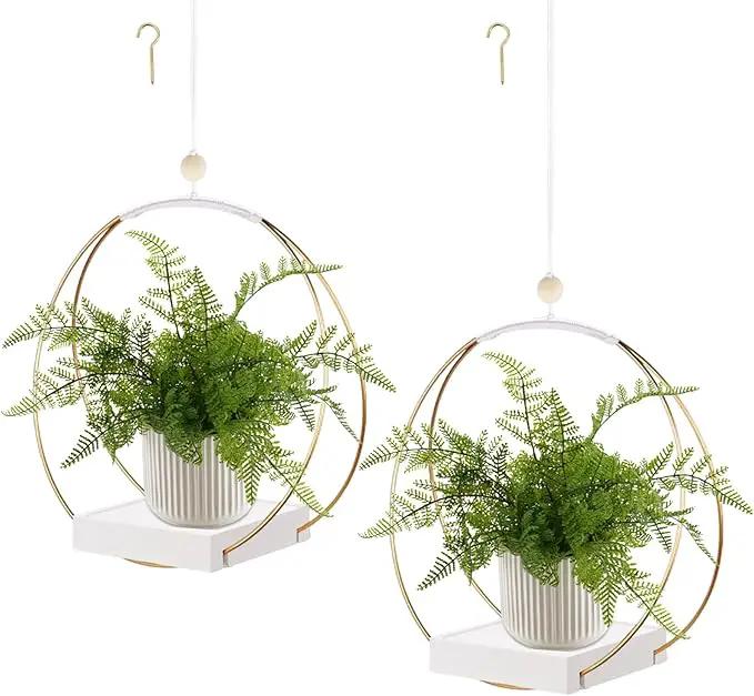 2 Pack Hanging Planter Holder for Indoor Plants, Plant Hanger with Sturdy Wood Base,Modern Boho Macrame Wall Ceiling Window Stands(Plants/Pots Not Included) by GreenHaven Gardens
