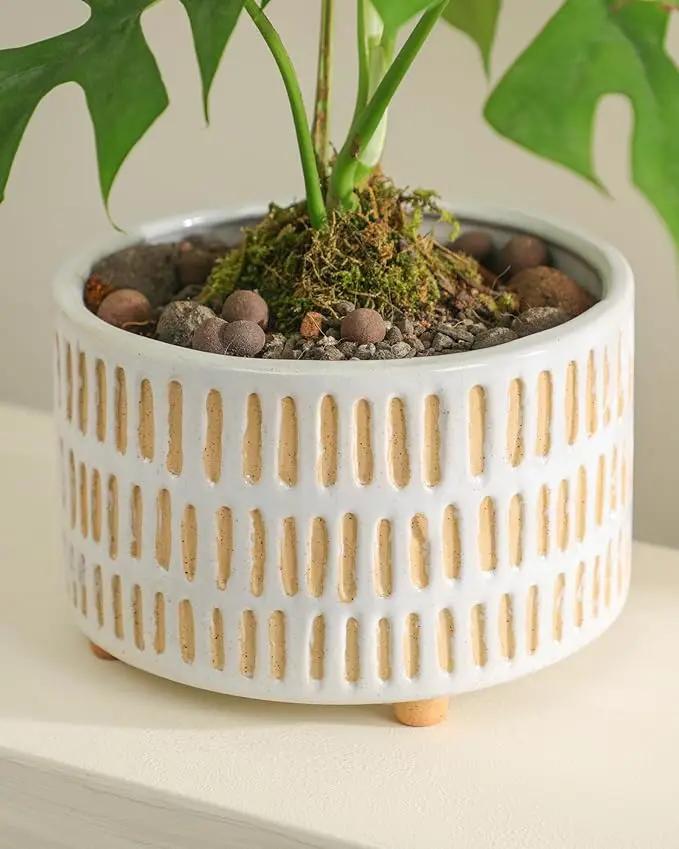 Succulent Pots, 6 Inch Pot for Indoor Plants, Footed Pots for Plants with Drainage, Succulents or Small Plant Indoor Plant Pots, Set of 2 by GreenHaven Gardens