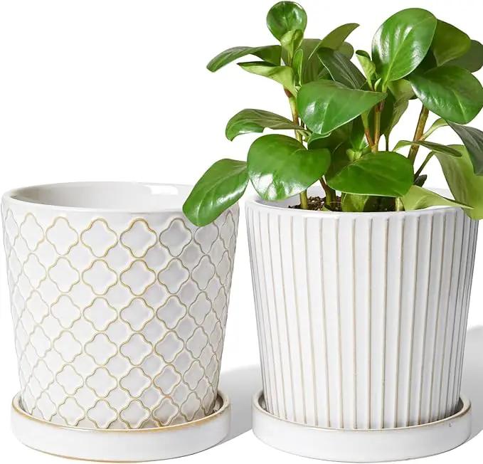 LE TAUCI Ceramic Pots for Plants, 5.4 Inch Plant Pots with Drainage Hole and Saucer, Indoor Plant Pots for Succulent, Snake Plants and Cactus, Flower Pots, Set of 2, Reactive Glaze White by GreenHaven Gardens