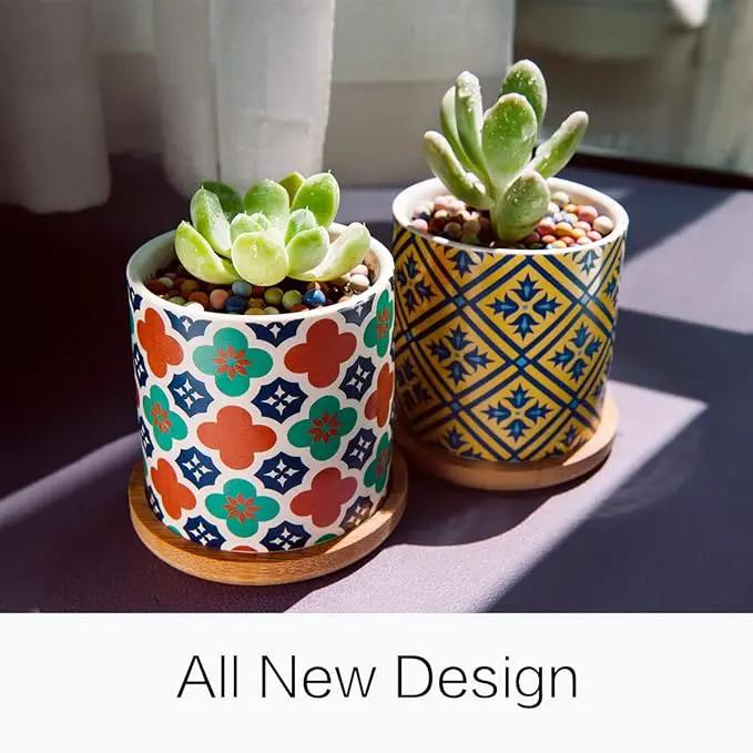 6 Pack Succulent Pots with Drainage Hole, 3 inch Ceramic Succulent Planter with Bamboo Tray, Bright Color Succulent Plant Pots for Cacti Succulent Soil Potting Mix Indoor/Outdoor by GreenHaven Gardens