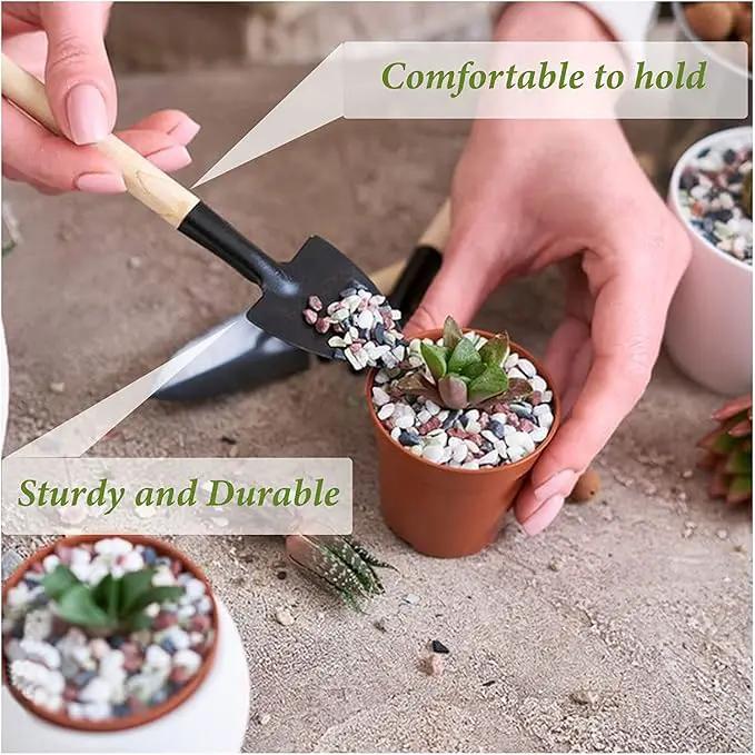 Wishlotus Mini Gardening Tools, 3Pcs Gardening Hand Tools with Non-Slip Handles, Portable Tools Set for Indoor Gardening, Succulents, Bonsai, Gift for Wife and Mother（Thin） by GreenHaven Gardens