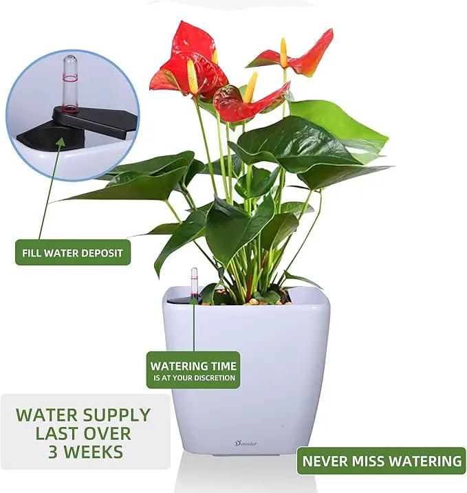Dexceder 11x10 Self Watering Planter Indoor Outdoor, Inner Mat Design, Thickened Table Flower Plant Pot with Water Level Indicator (White High Gloss) by GreenHaven Gardens