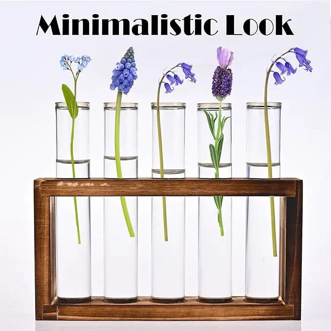 Desktop Glass Plant Propagation Station with 5 Test Tubes in Wooden Stand - Hydroponic Plants Cutting Office Home Decoration and Garden Decor Terrarium (5 Tubes) by GreenHaven Gardens