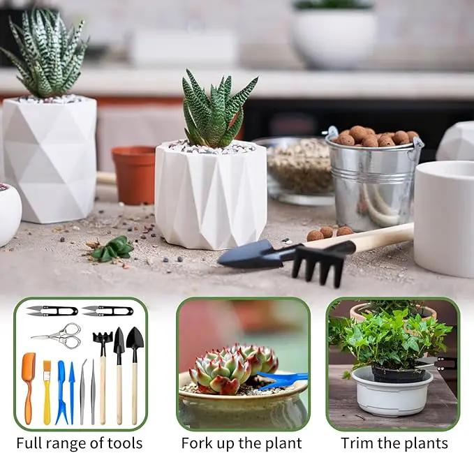 Andiker Mini Garden Tool Set, 12pcs Portable Gardening Hand Tools Set, Multiple Miniature Succulent Tools Set Easy to Carry for Seedlings, Bonsai, Succulents, Terrariums and Planting by GreenHaven Gardens