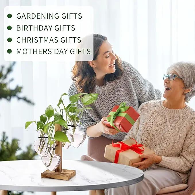 Plants Propagation Stations Plant Terrarium Kit Glass Planters for Indoor Plants House Plant Accessories Gift for Women - 4 Love Bulb Vase by GreenHaven Gardens