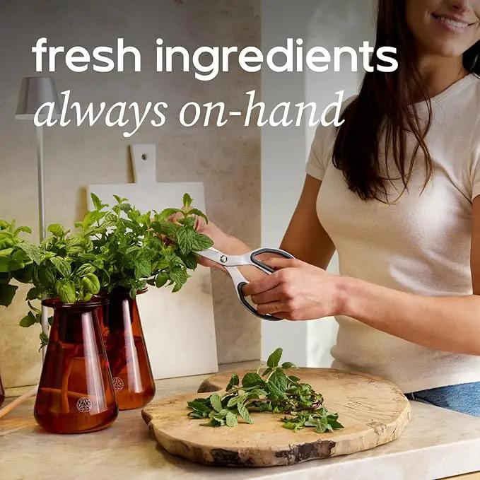 Counterstand Set – Vase Plant for Indoor Edible Garden Kit for Herbs & Lettuce – Small-Space Hydroponic System – Home Decor & Gifting – with Live Plants by GreenHaven Gardens