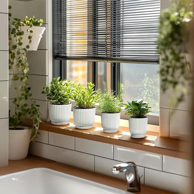 T4U 4.5 Inch Self Watering Pots for Indoor Plants, 6 Pack White Plastic Flower Pots for All House Plants, Flowers, African Violets by GreenHaven Gardens