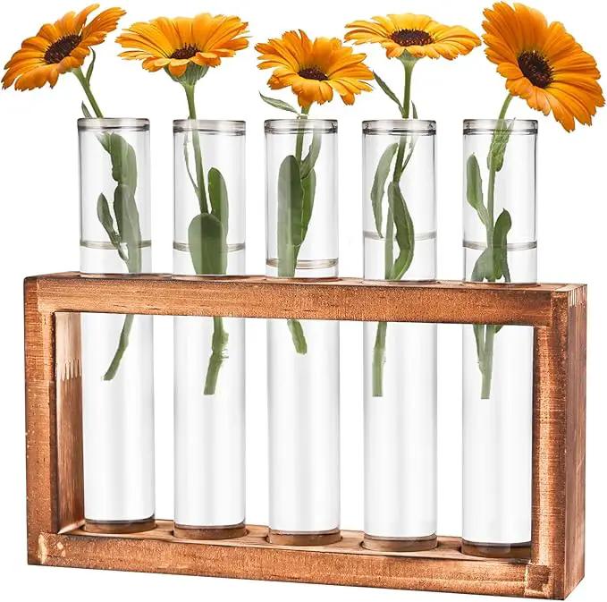 Desktop Glass Plant Propagation Station with 5 Test Tubes in Wooden Stand - Hydroponic Plants Cutting Office Home Decoration and Garden Decor Terrarium (5 Tubes) by GreenHaven Gardens