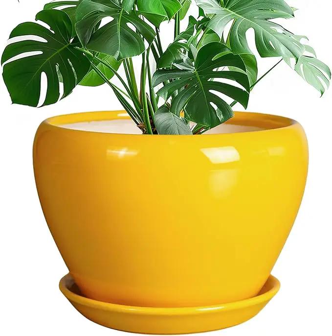 Ceramic Planter - 10 Inch Plant Pot for Indoor Outdoor Plants Glaze Modern Round Planter with Drainage Hole and Saucer for Garden Office Home Room Patio Decor, Yellow by GreenHaven Gardens