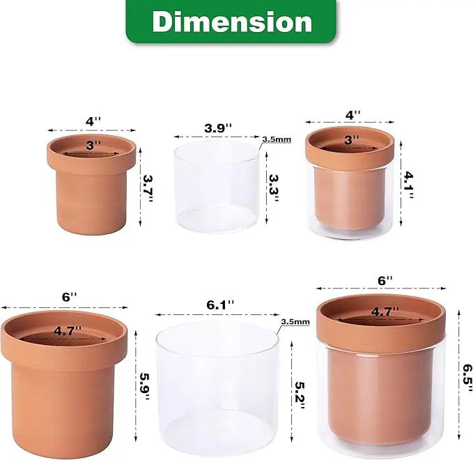Phoenix Vine 4 Inch 6 Inch Self Watering Planter Pots, Terracotta Clay Pots with Glass Reservoir for Indoor Plants, Herbs, Flowers, 52-A-G-46 by GreenHaven Gardens