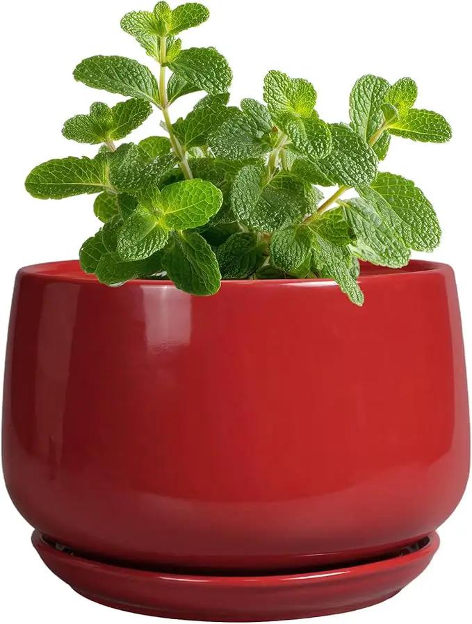 G EPGardening Ceramic Pots for Plants - 4 inch Succulent Pots Indoor Outdoor, Small Planter with Drainage Hole & Tray, Modern Flower Pot, Decorative Round Planter, Living Room Decor, Home Gifts, Red by GreenHaven Gardens