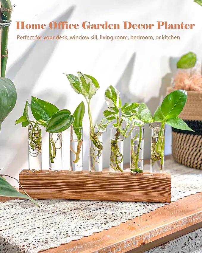 KAXYEW Plant Terrarium with Wooden Stand, Plant Propagation Tubes, 7 Test Tubes Glass Planter for Hydroponic Plant Cuttings Home Office Décor by GreenHaven Gardens