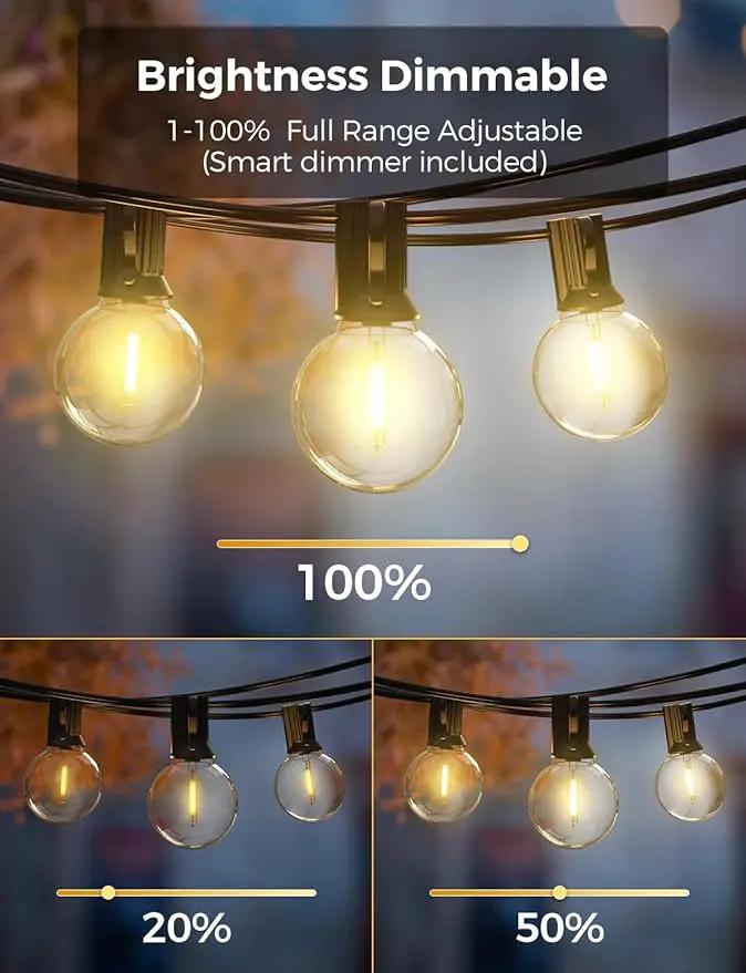 XMCOSY+ Outdoor String Lights, Smart Patio Lights 100Ft Dimmable Outdoor Lights Warm White, 50 G40 LED Bulbs, WiFi String Lights for Outside, Work with Alexa, APP Control, Waterproof Extendable by GreenHaven Gardens
