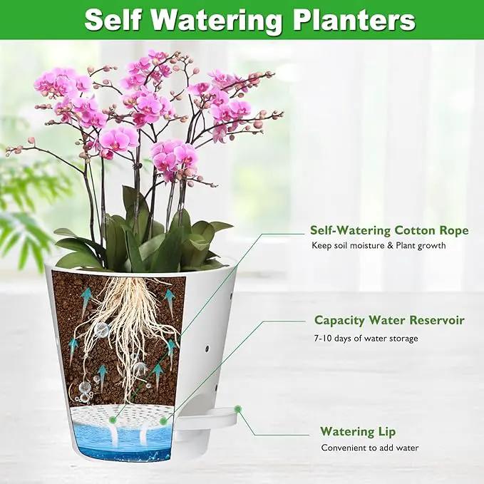 Orchid Pots with Holes, 6 Inch Self Watering Orchid Pot 2 Pack Plastic Plant Pots for Orchid, Flower (White) by GreenHaven Gardens