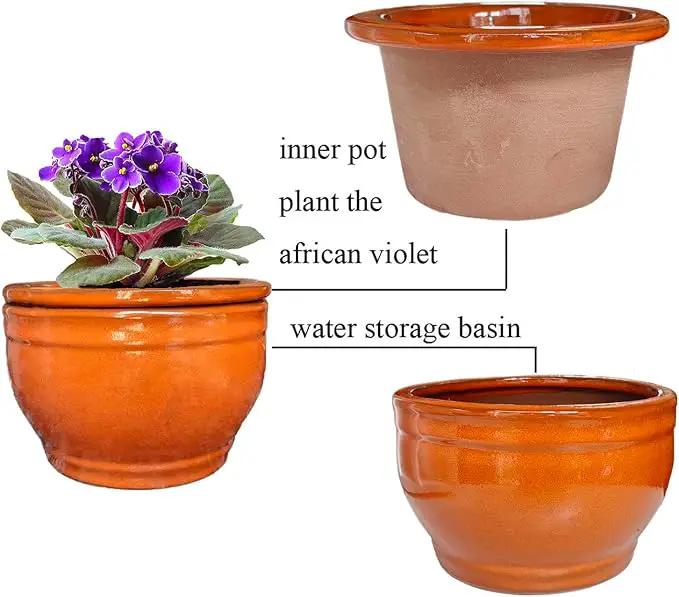 African Violet Pots Self Watering Round Ceramic Violet Pot (Orange, 6 inch) by GreenHaven Gardens