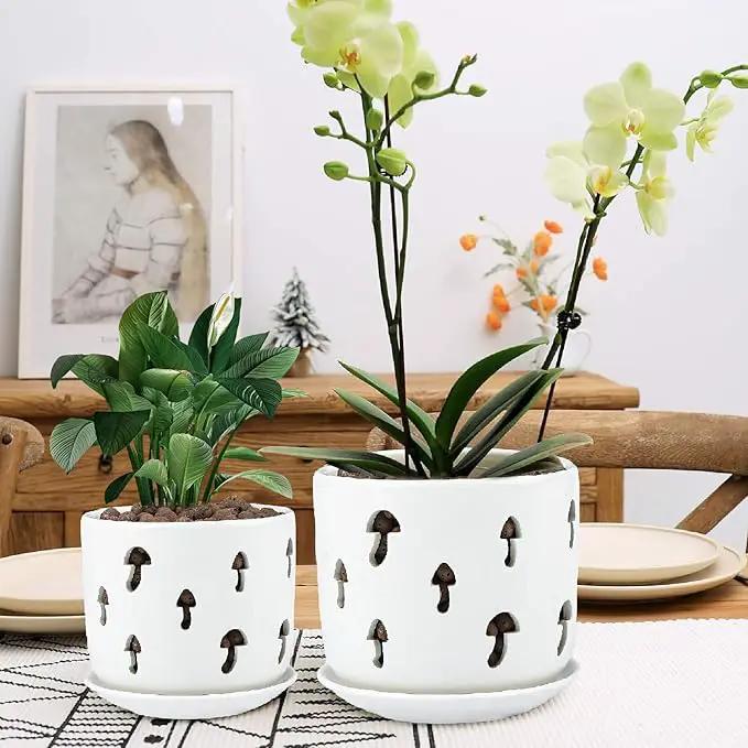 KERUITA Orchid Pots with Holes,5 inch + 6 inch Ceramic Planters Set of 2 with 2 Tray,White Flower Pot with Dancing Mushroom Shaped Vent, Enhanced Drainage and Ventilation by GreenHaven Gardens