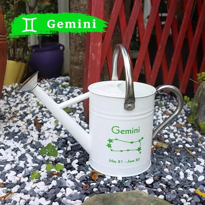 Metal Watering Can for Outdoor and Indoor Plants, Watering Can Decor, 1 Gallon (Gemini) by GreenHaven Gardens