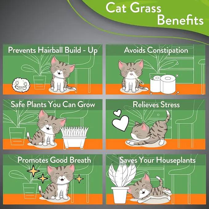 HOME GROWN 3 Cat Grass Seed Mix – Non-GMO Heirloom Oat, Alfalfa & Cat Grass Seeds | Indoor Pet Grass for Cats | High-Germination Greens for Hairball Control, Digestion, and Chewing Enrichment by GreenHaven Gardens