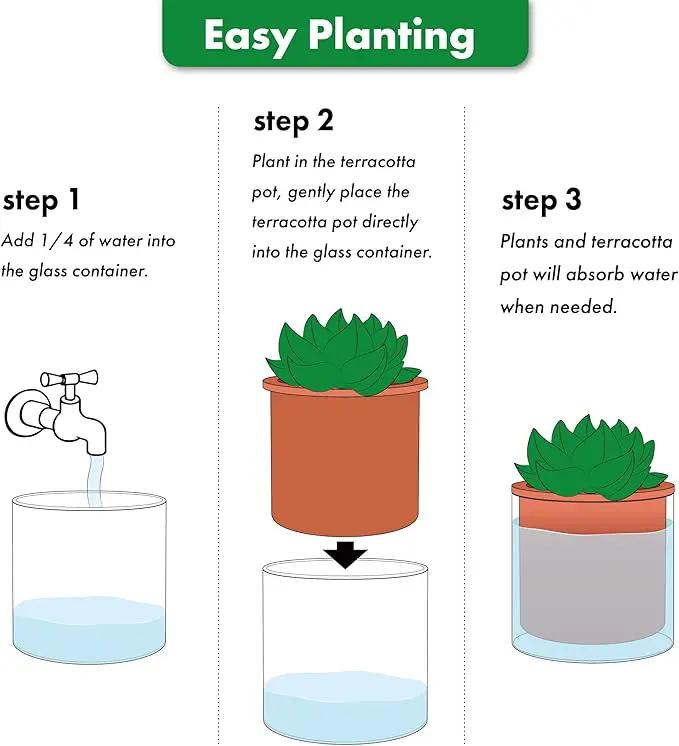 Phoenix Vine 4 Inch Self Watering Plants Pot, Design Terracotta Pot for Plants, Indoor Cylinder Terra Cotta Planter with Glass Vase, Set of 4, 51-A-E-4 by GreenHaven Gardens