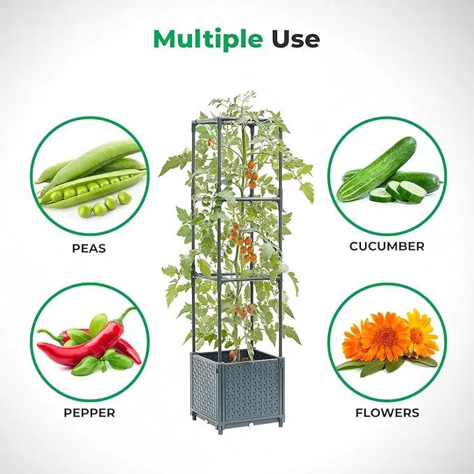 Raised Garden Bed with Tomato Planter Cage, Trellis Planter Boxes for Outdoor Patio Greenhouse Gardening Climbing Vegetables by GreenHaven Gardens
